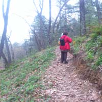 Trail of Papades