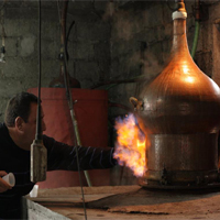 THE STORY of TSIPOURO and TSIKOUDIA