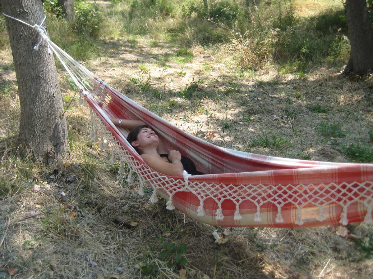 hammock