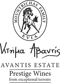 Proprietatea Avantis