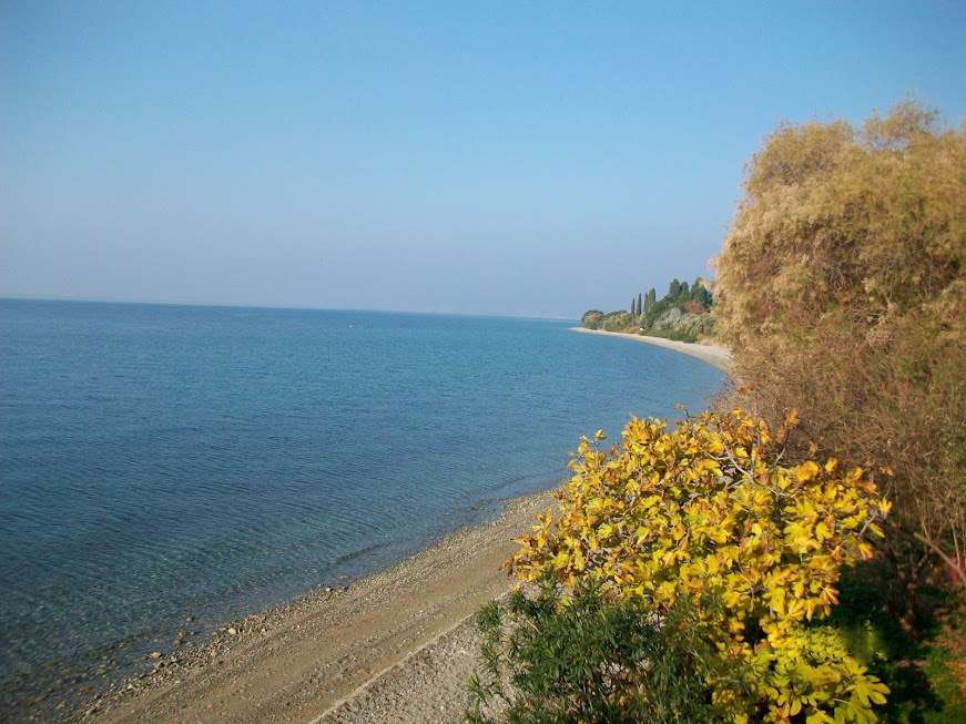 beach near eleonas hotel