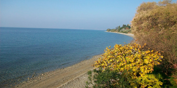 παραλία στις Ροβιές