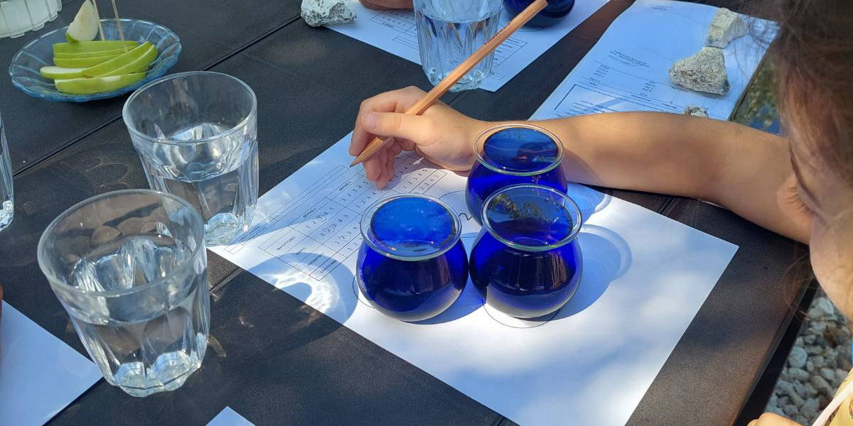 Olive oil tasting