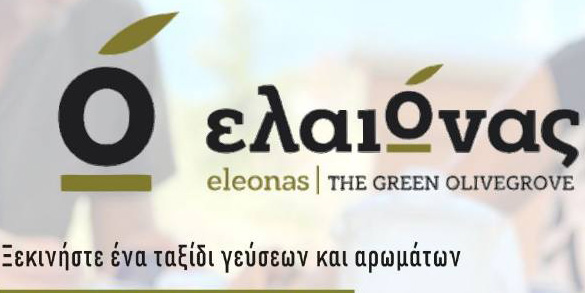 Olive oil tasting