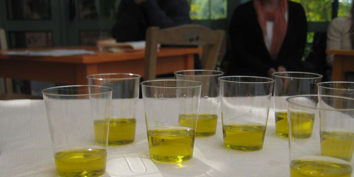 tasting olive oil a eleons hotel