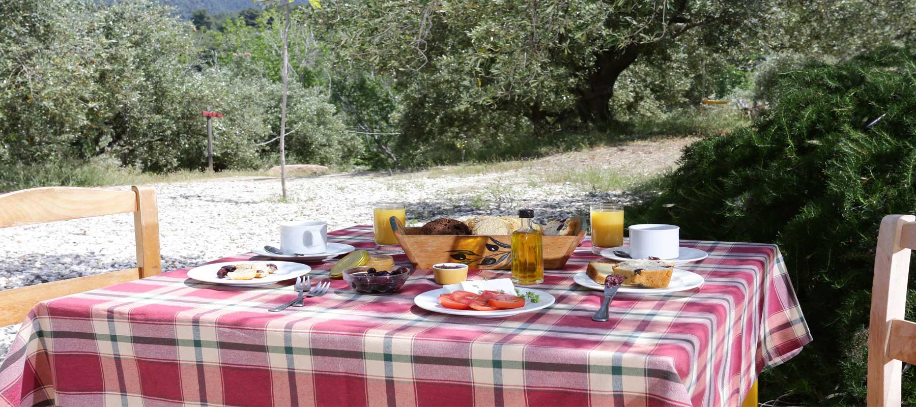 Greek breakfast under the olive trees